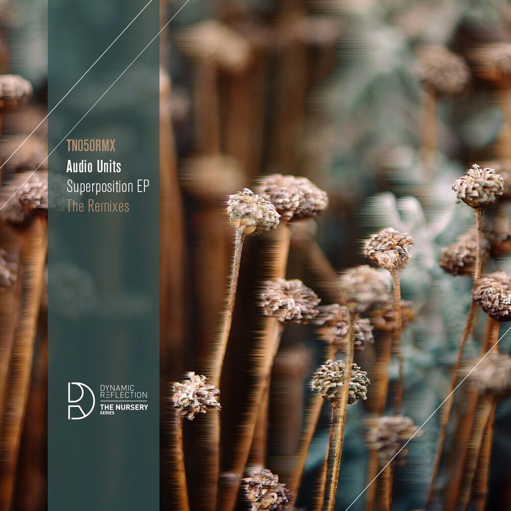 Picture of Superposition EP - The Remixes