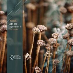 Cover of Superposition EP - The Remixes