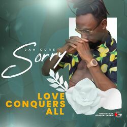 Cover of Sorry