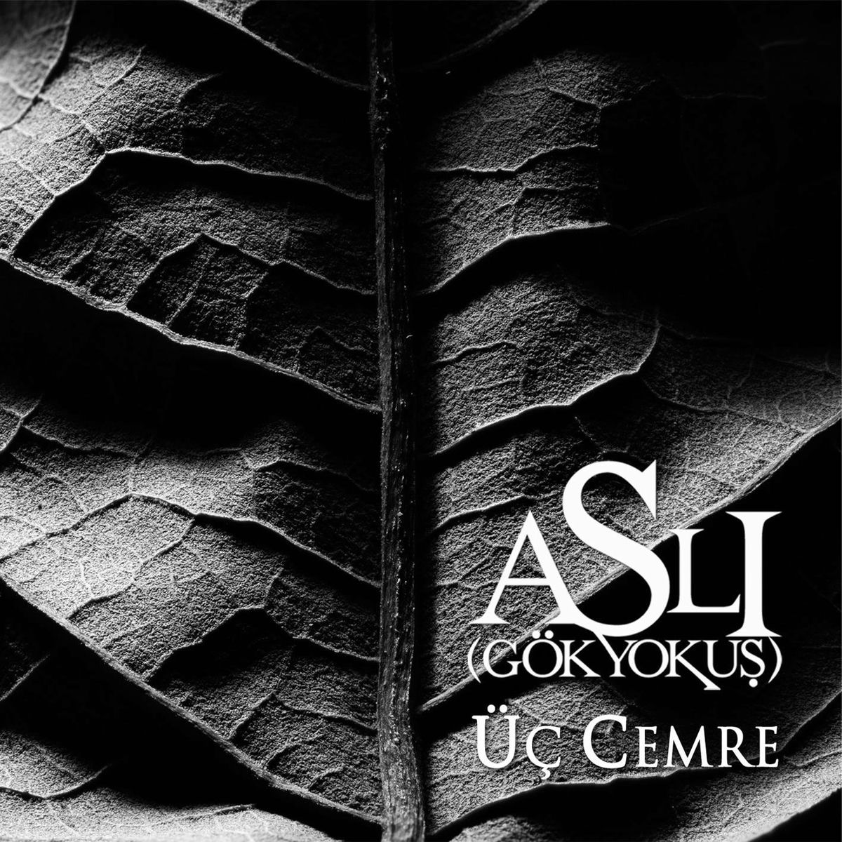 Album cover of Üç Cemre