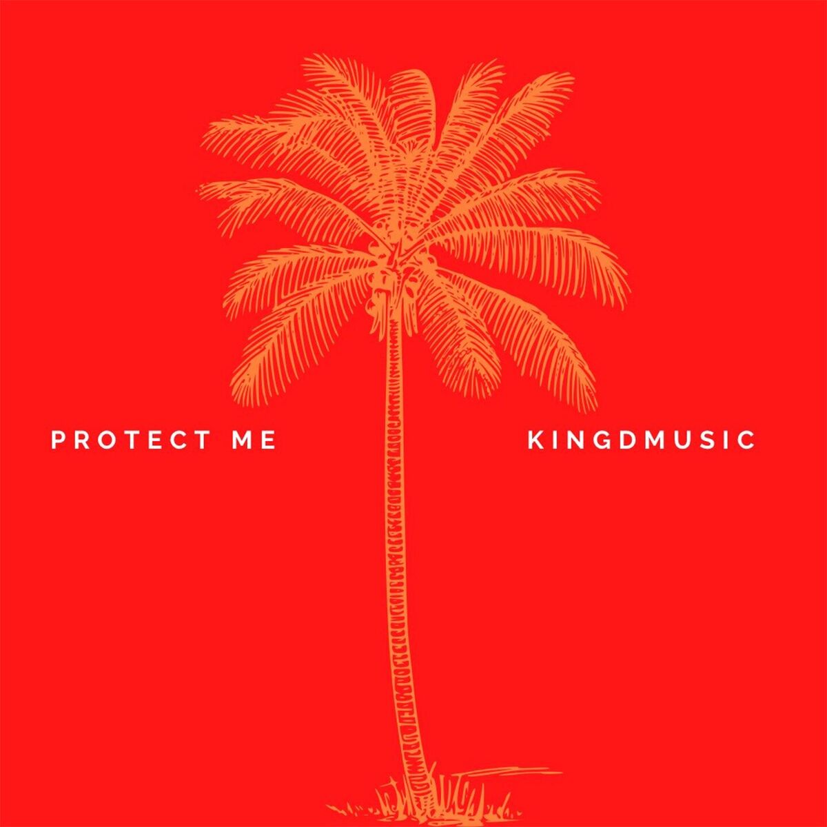 Album cover of Protect Me