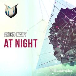 Cover of At Night