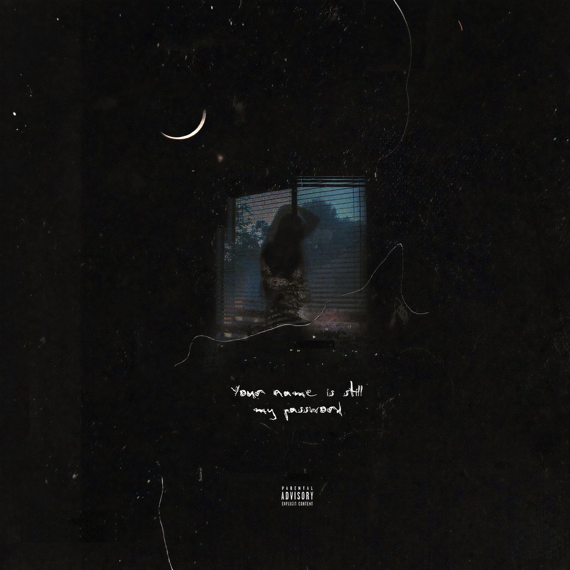 Album cover of Your Name Is Still My Password