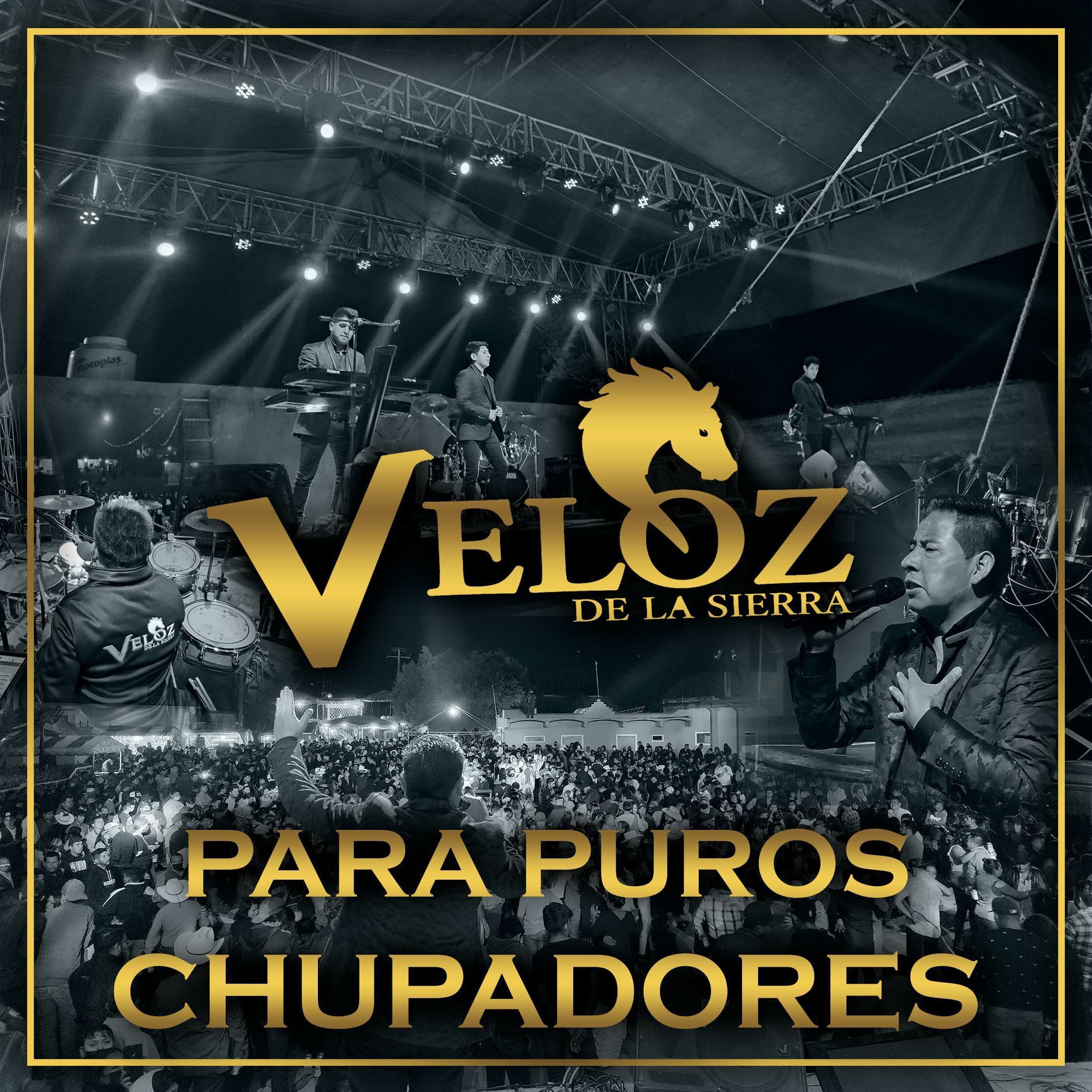 Album cover of Para puros chupadores