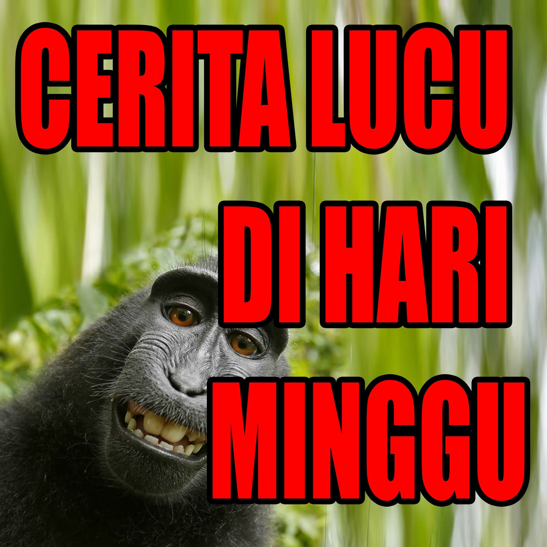 Album cover of CERITA LUCU DIHARI MINGGU