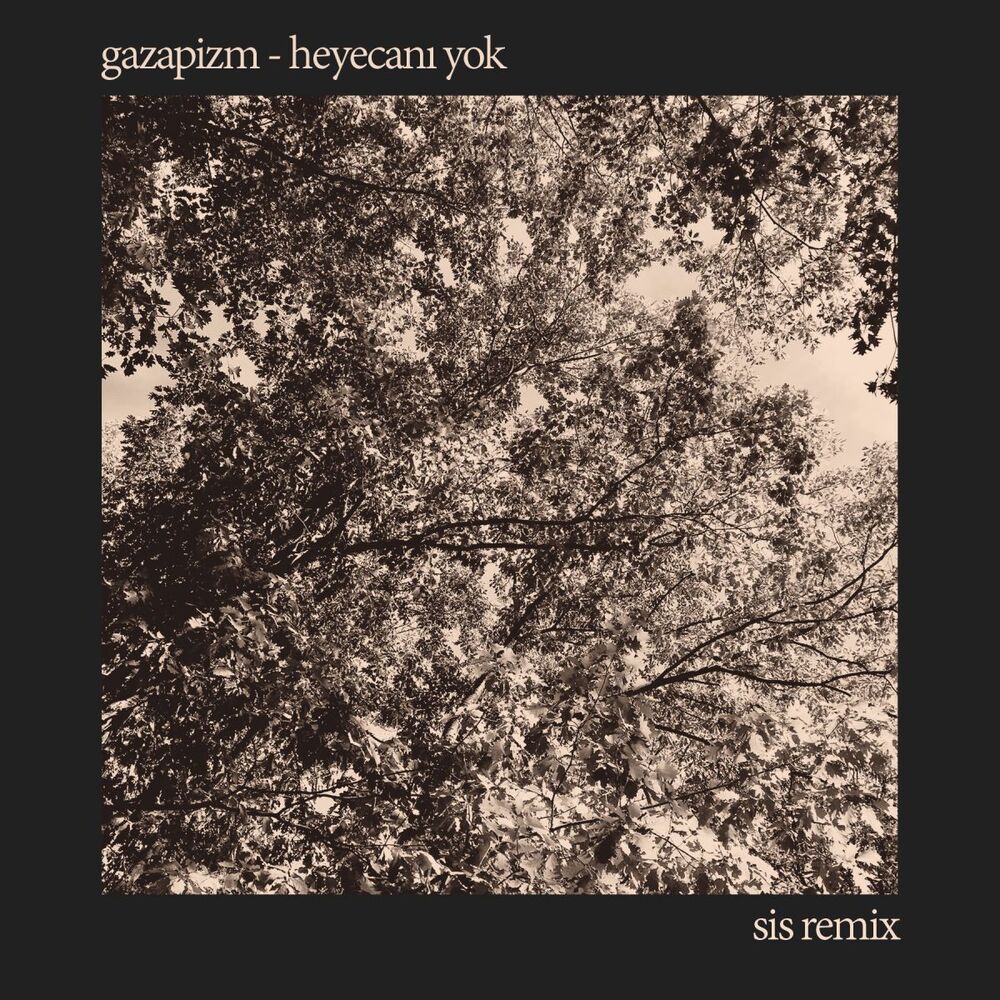 Picture of Heyecanı Yok (SIS Remix)