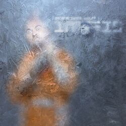 Cover of Im Eis