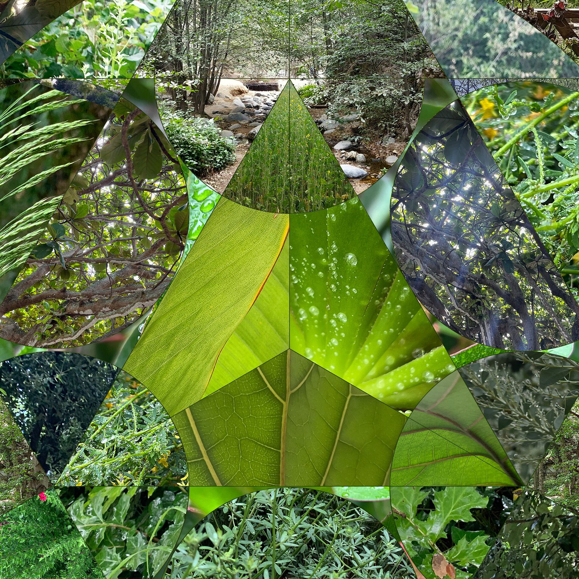 Album cover of Airavata