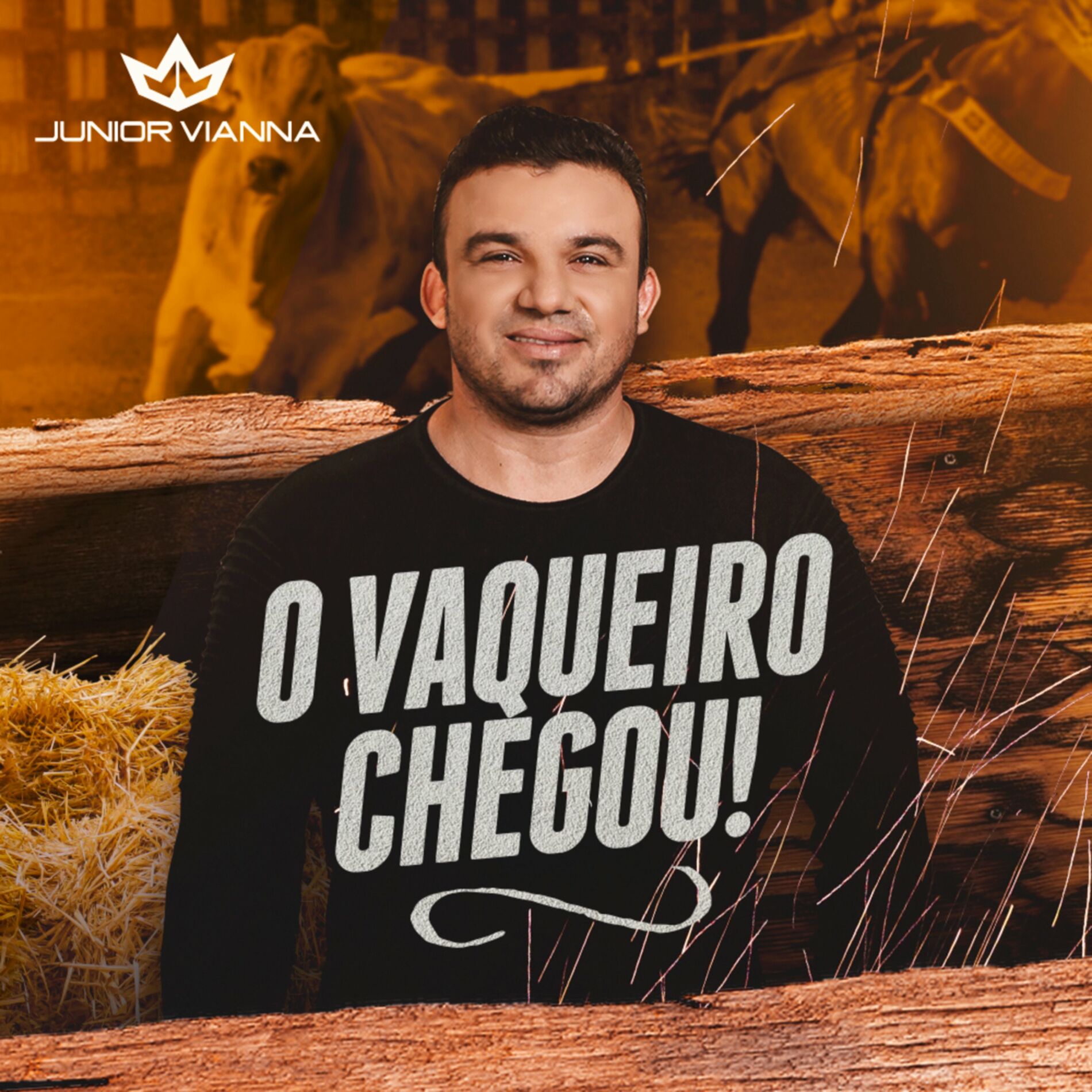 Album cover of Nem Por 1 Milhão