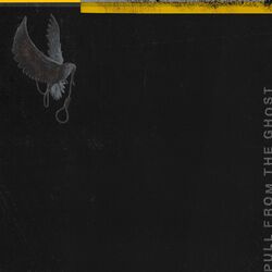Cover of Pull From The Ghost