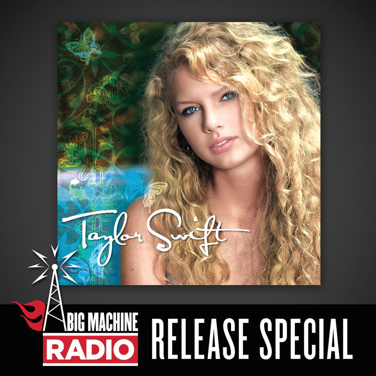 Album cover of Tim McGraw