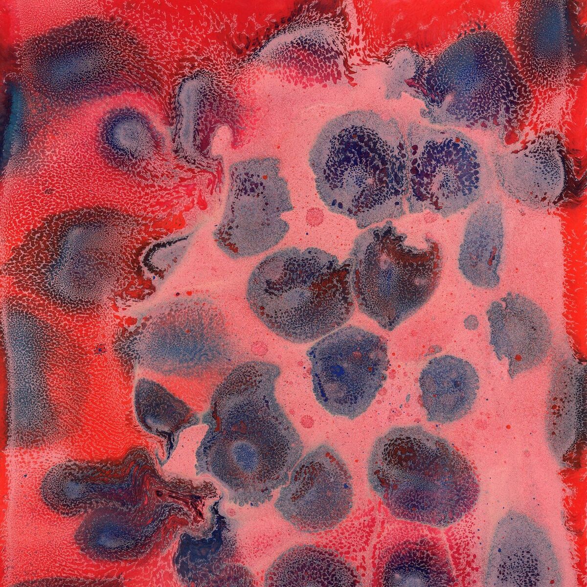 Album cover of home