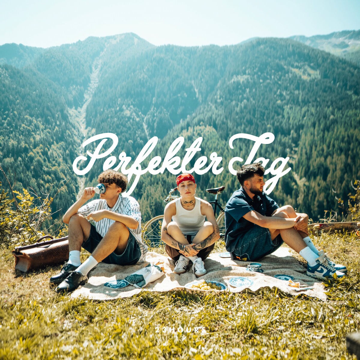 Album cover of Perfekter Tag