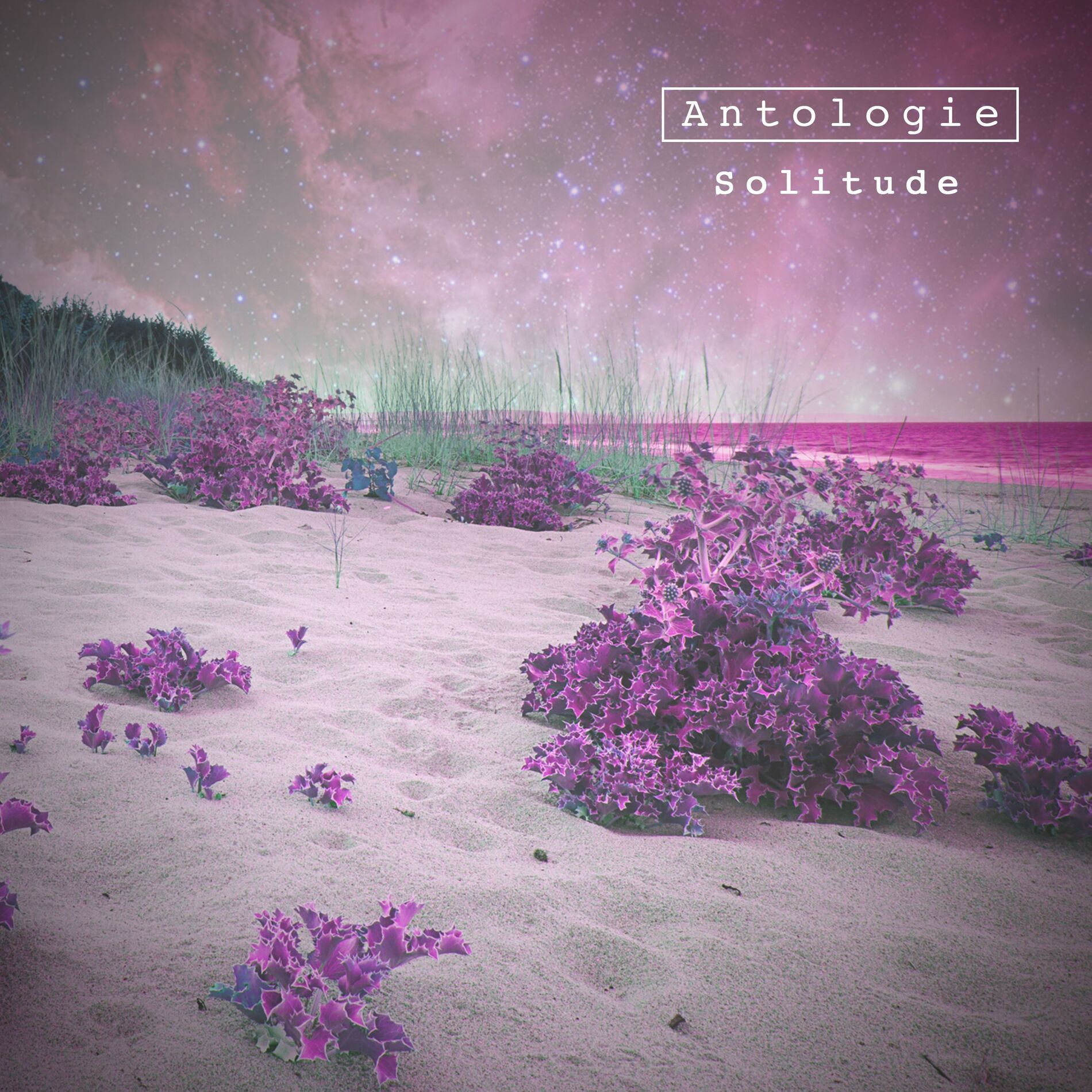 Album cover of Solitude