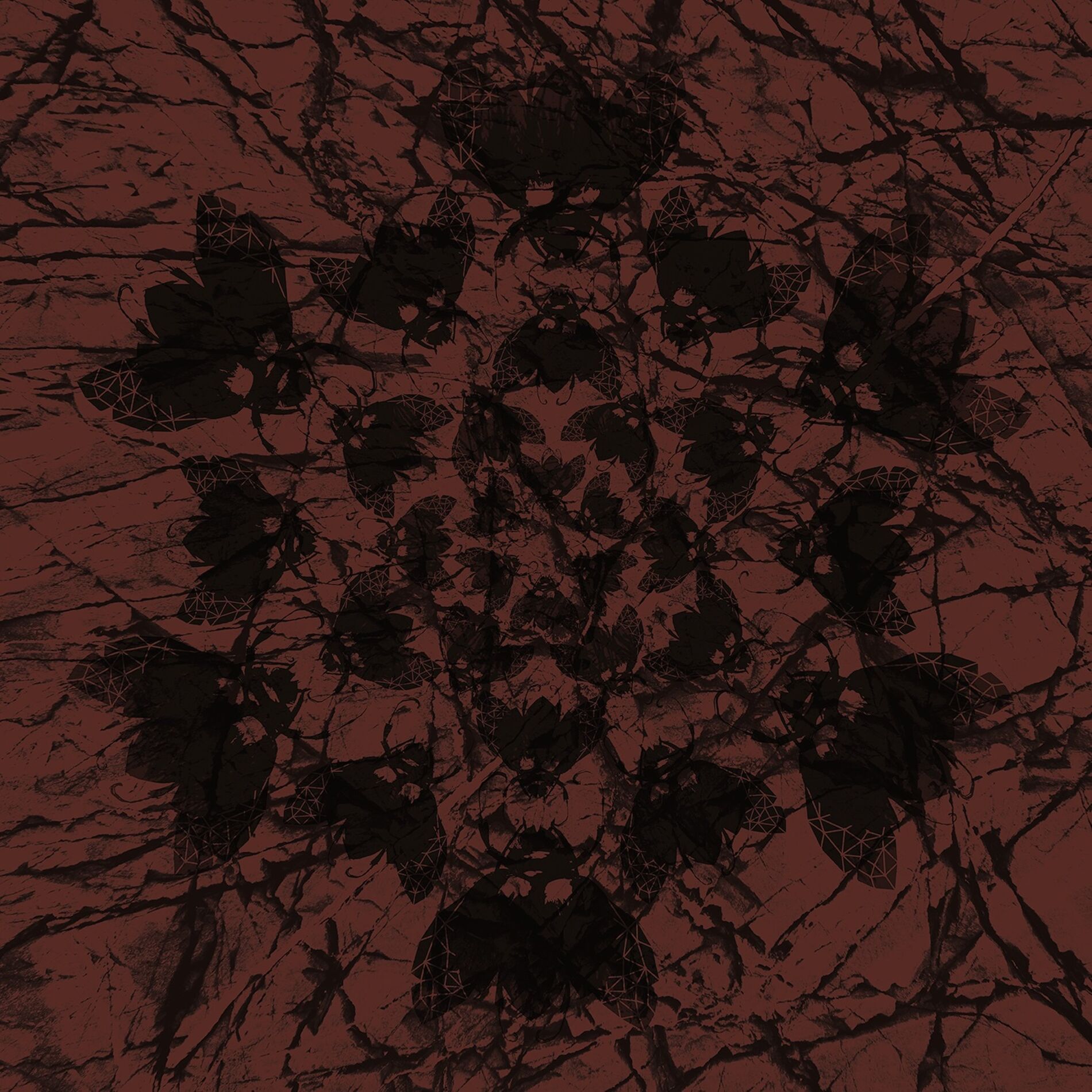 Album cover of What to Do When Awake Within a Dream