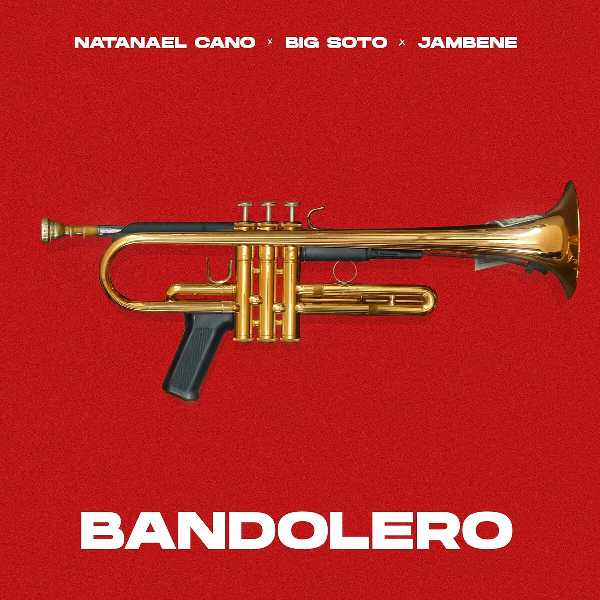 Album cover of Bandolero
