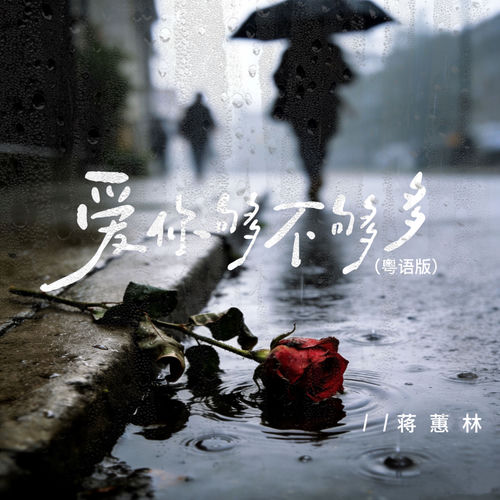 爱你够不够多 (粤语女版)
