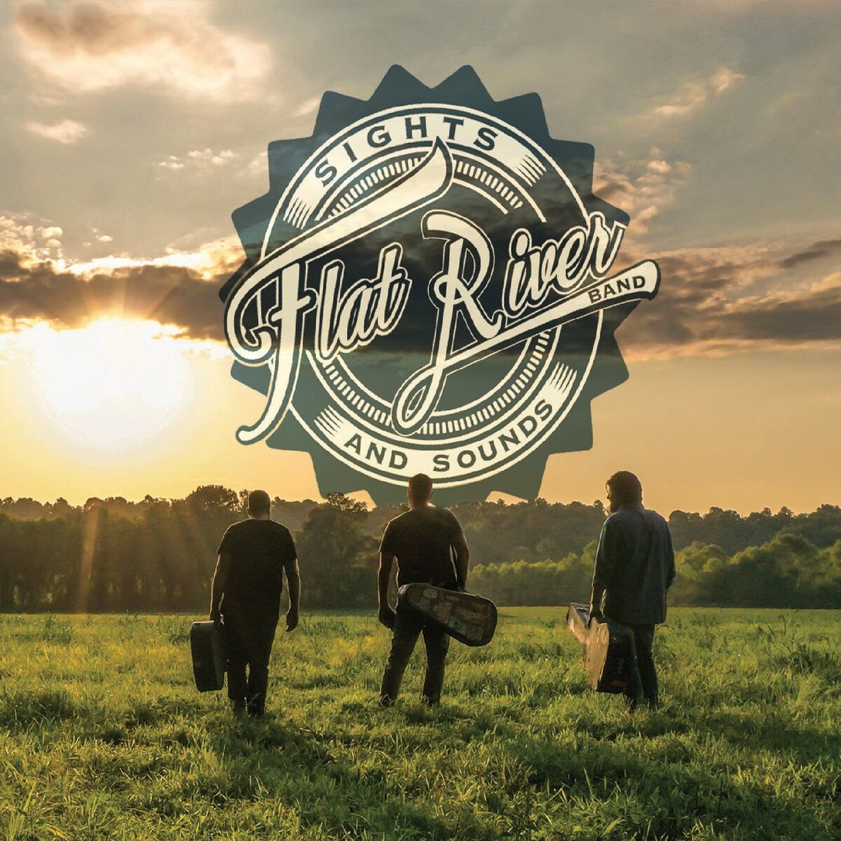 Album cover of Sights and Sounds