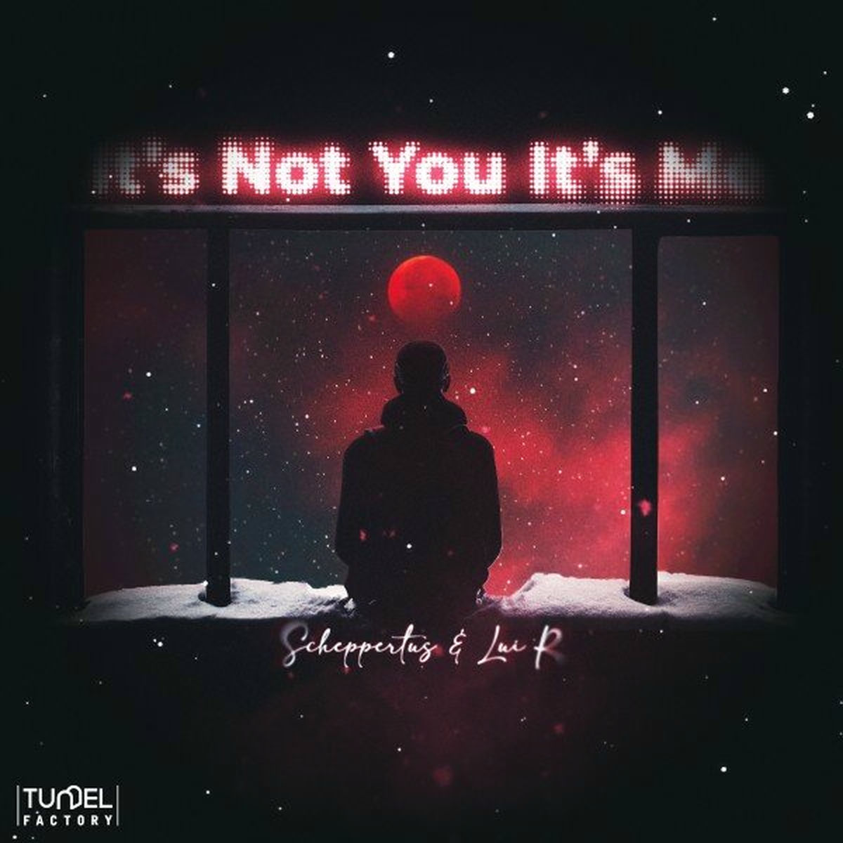 Album cover of It's Not You It's Me