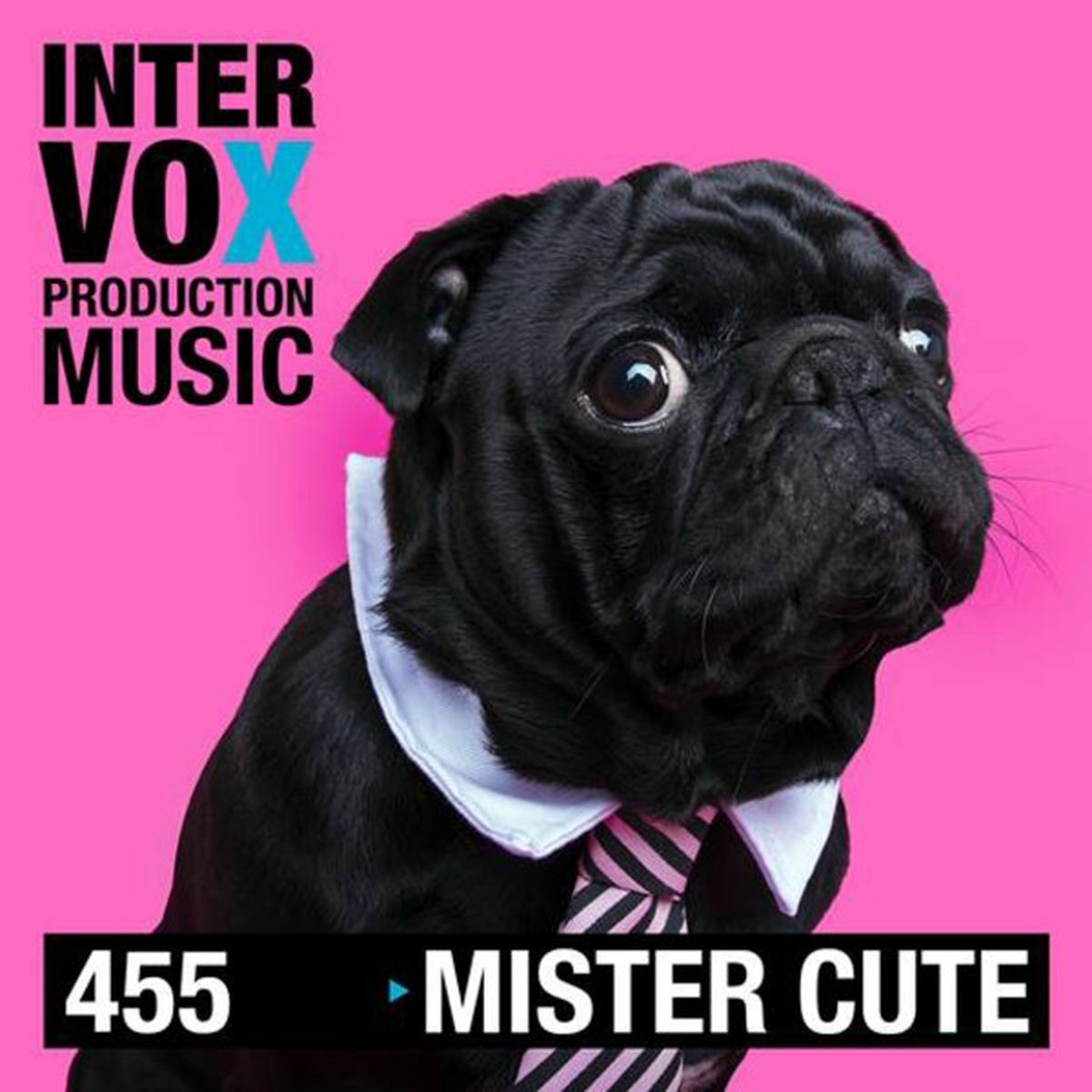 Album cover of Mister Cutie