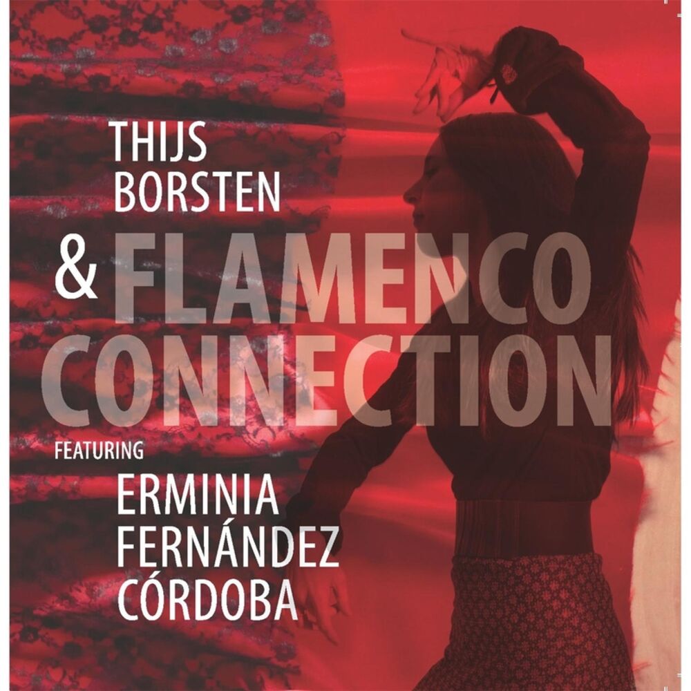 Picture of Flamenco Connection