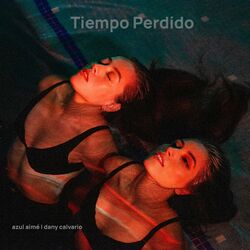 Cover of Tiempo Perdido