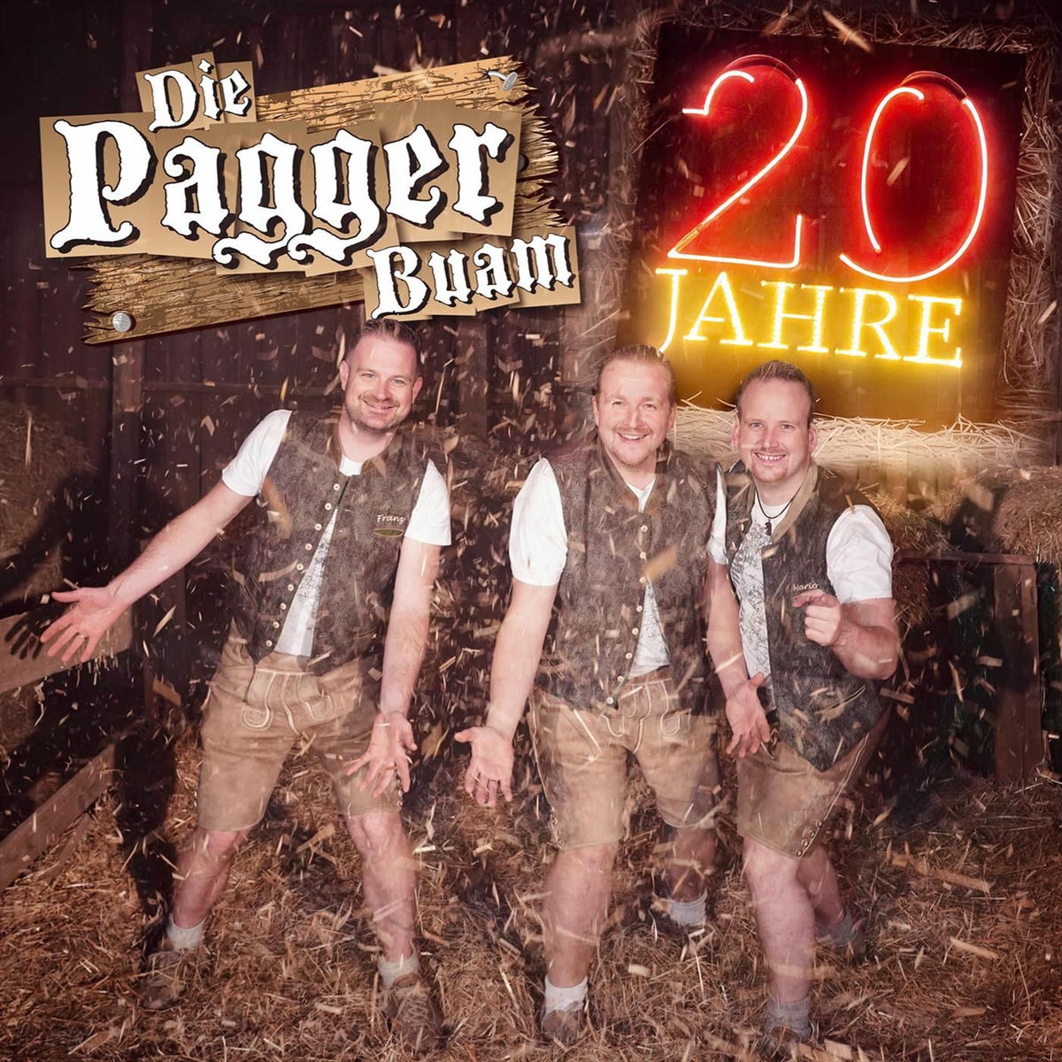 Album cover of 20 Jahre