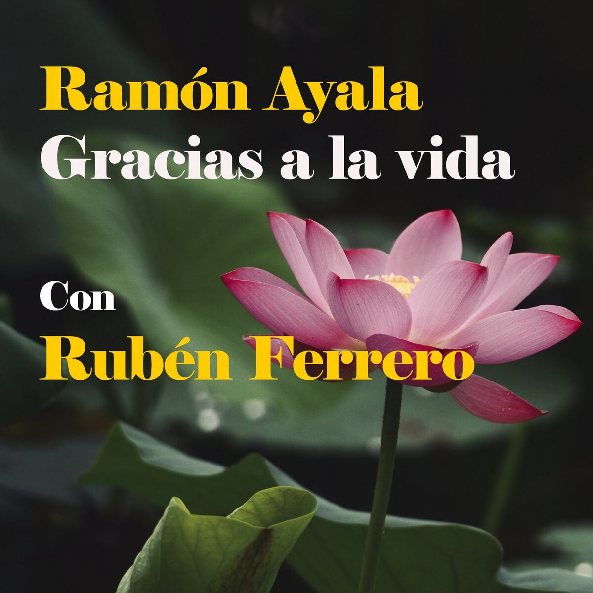 Album cover of Gracias a la Vida