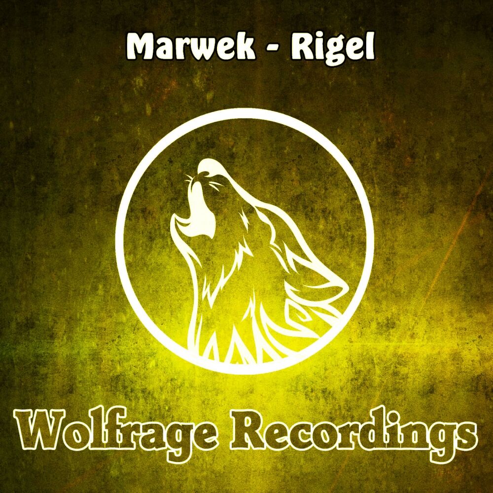 Picture of Rigel