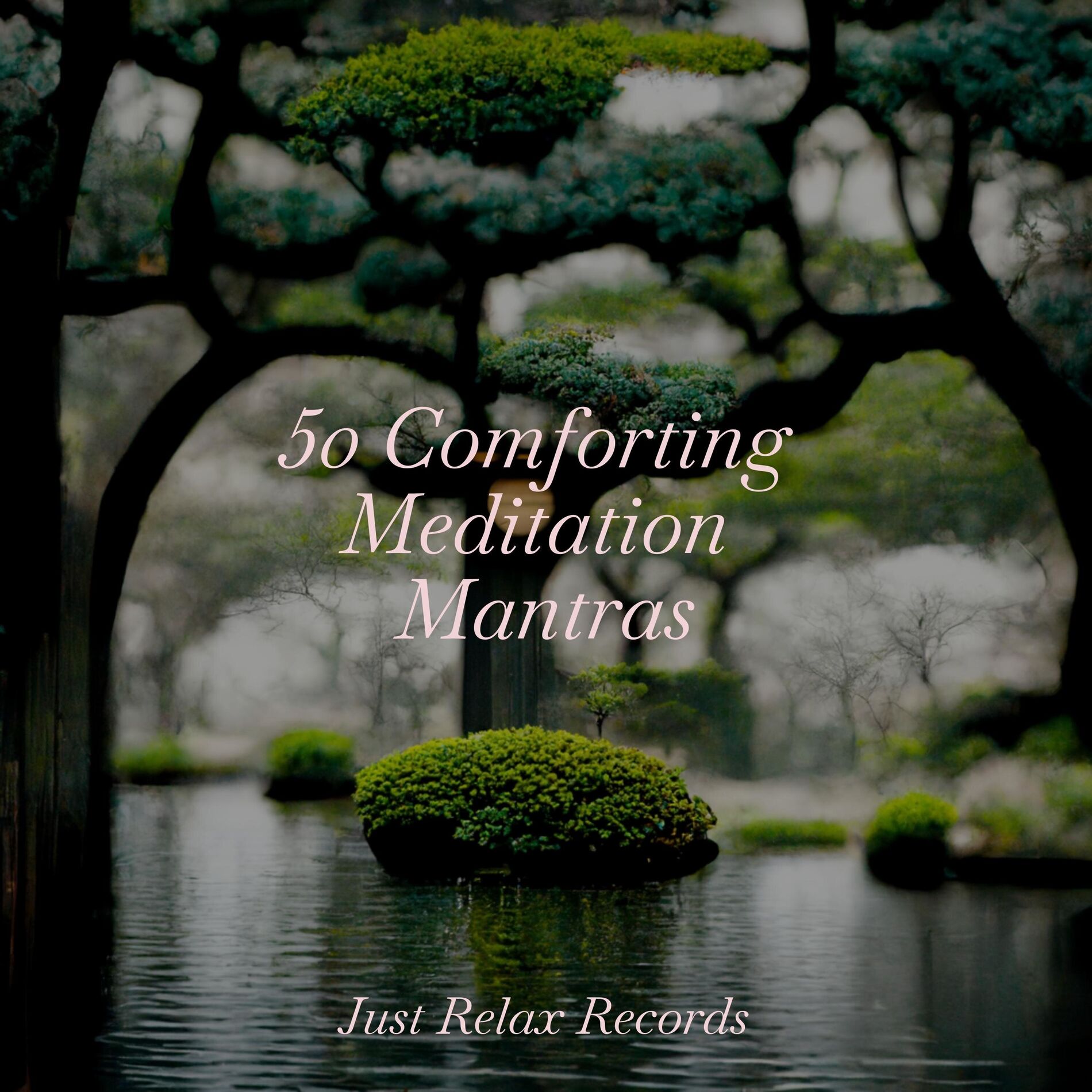 Album cover of 50 Comforting Meditation Mantras