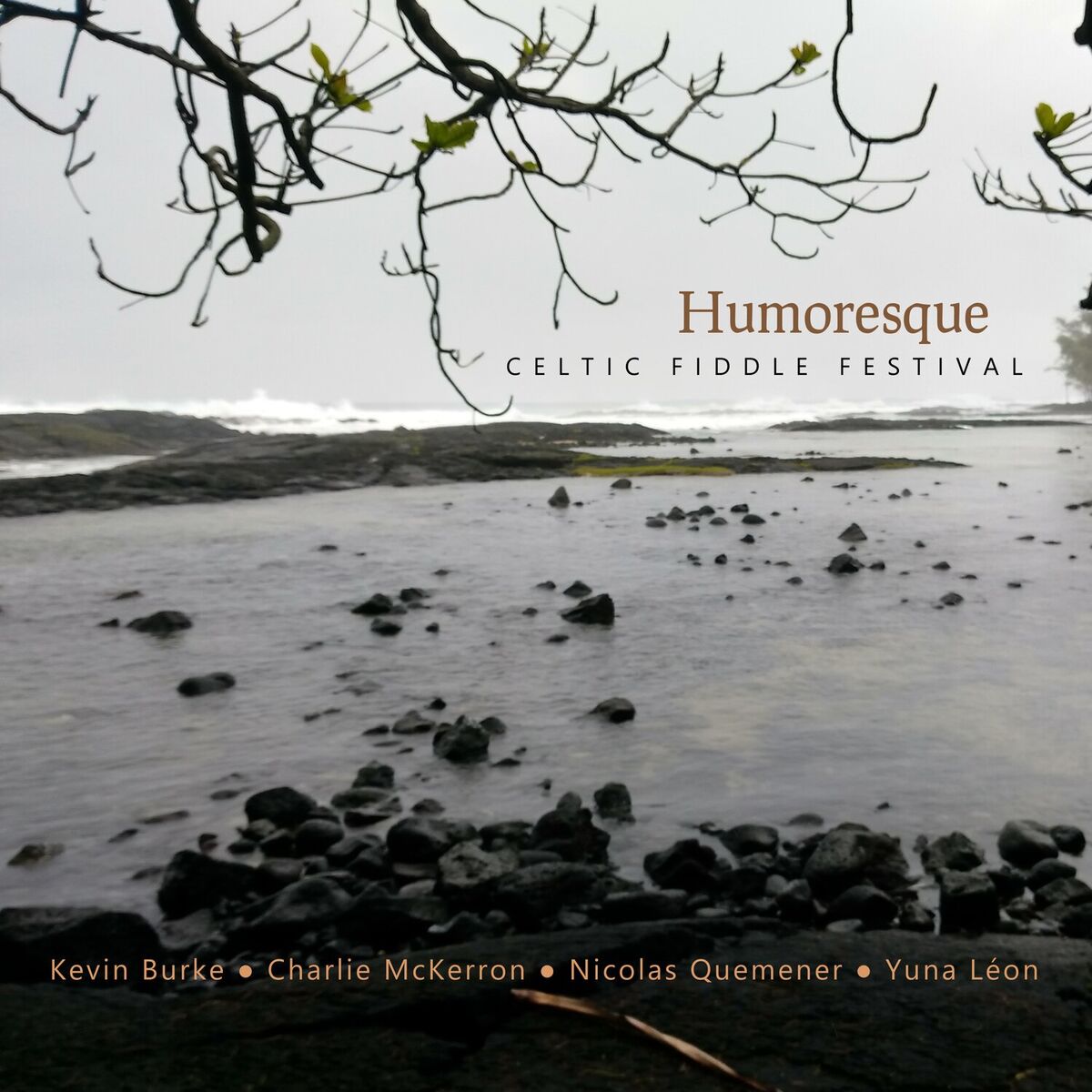 Album cover of Greylag Geese and Tawny Owls