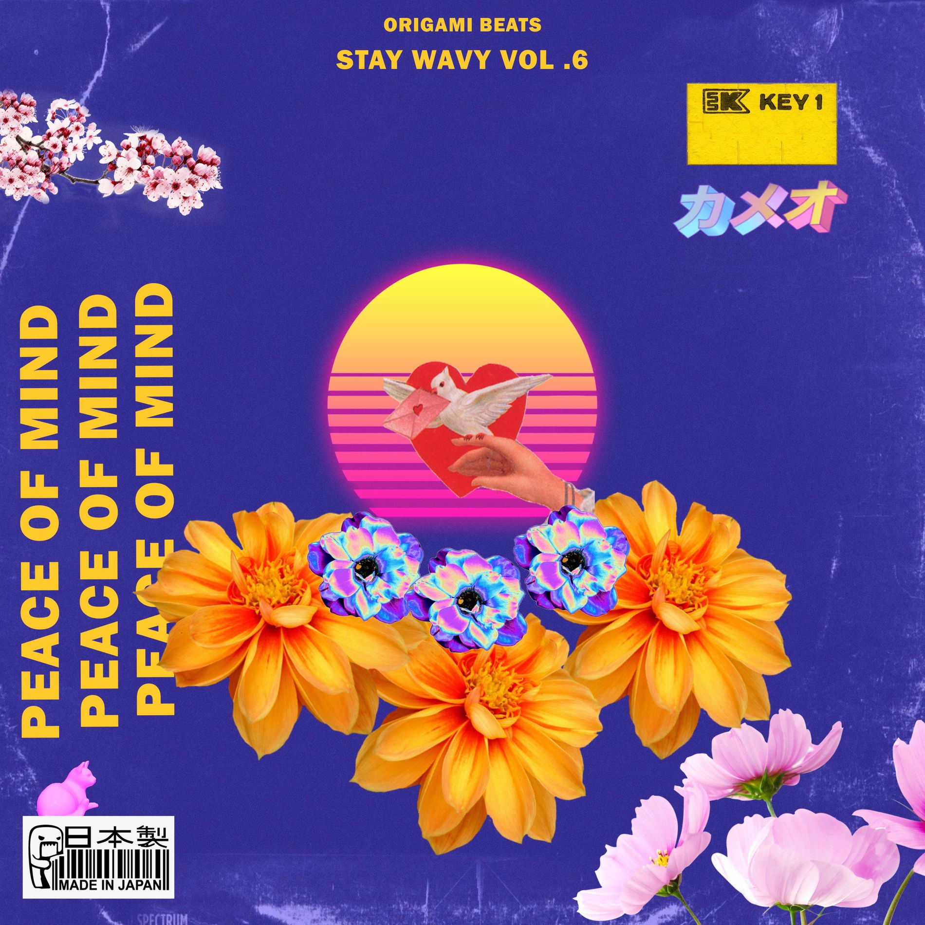 Album cover of Stay Wavy, Vol. 6