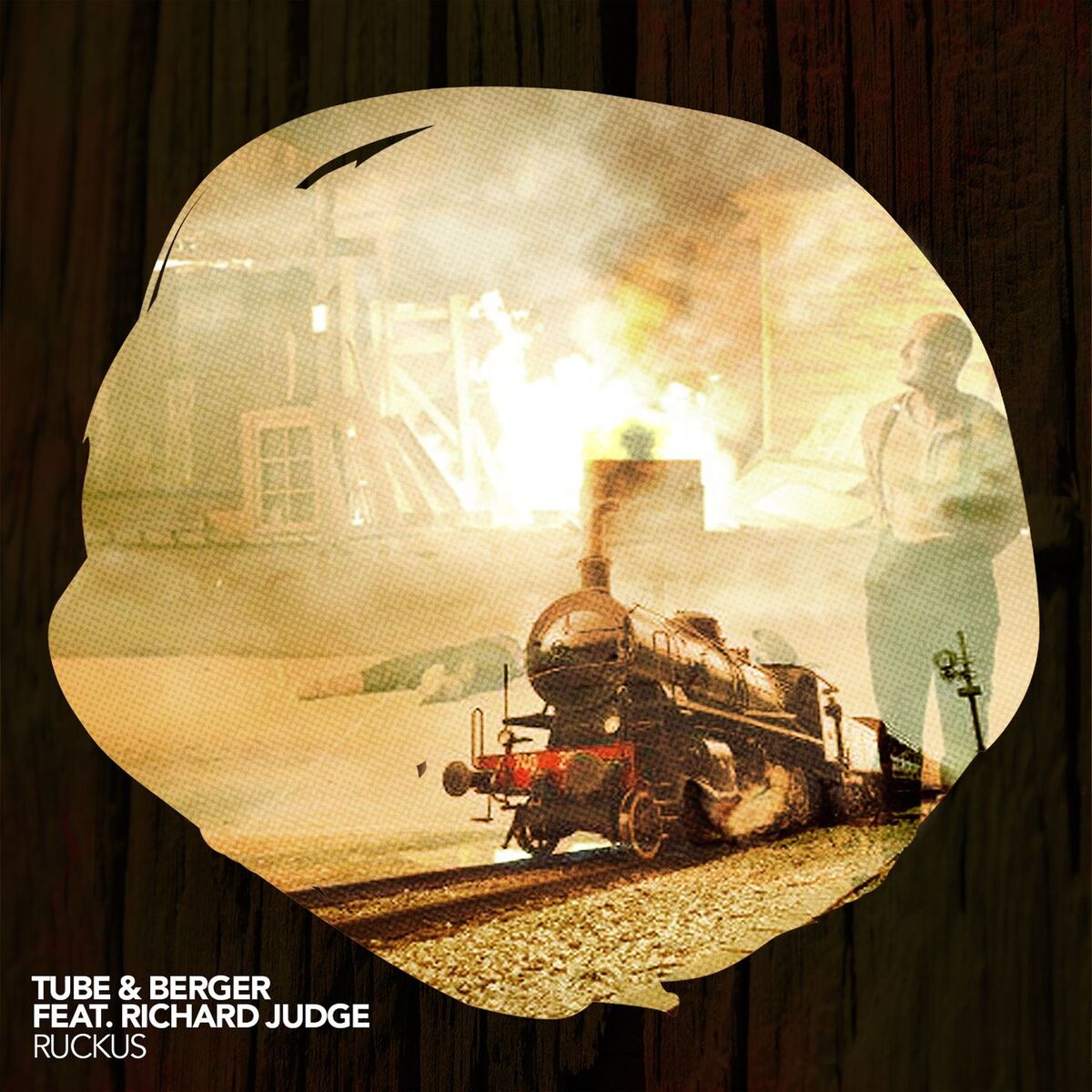 Album cover of Ruckus (Radio Edit)