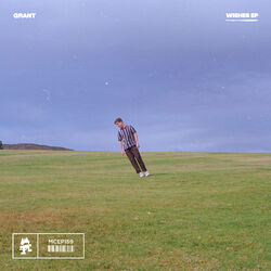 Cover of Wishes
