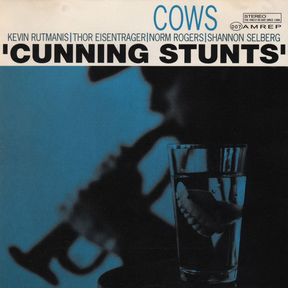 Picture of Cunning Stunts