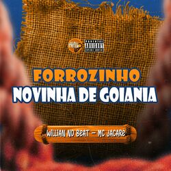Cover of Forrozinho Novinha de Goiania