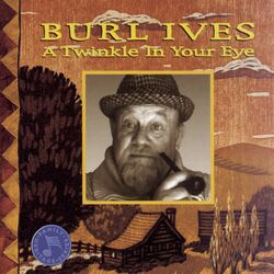 Cover of A Twinkle In Your Eye