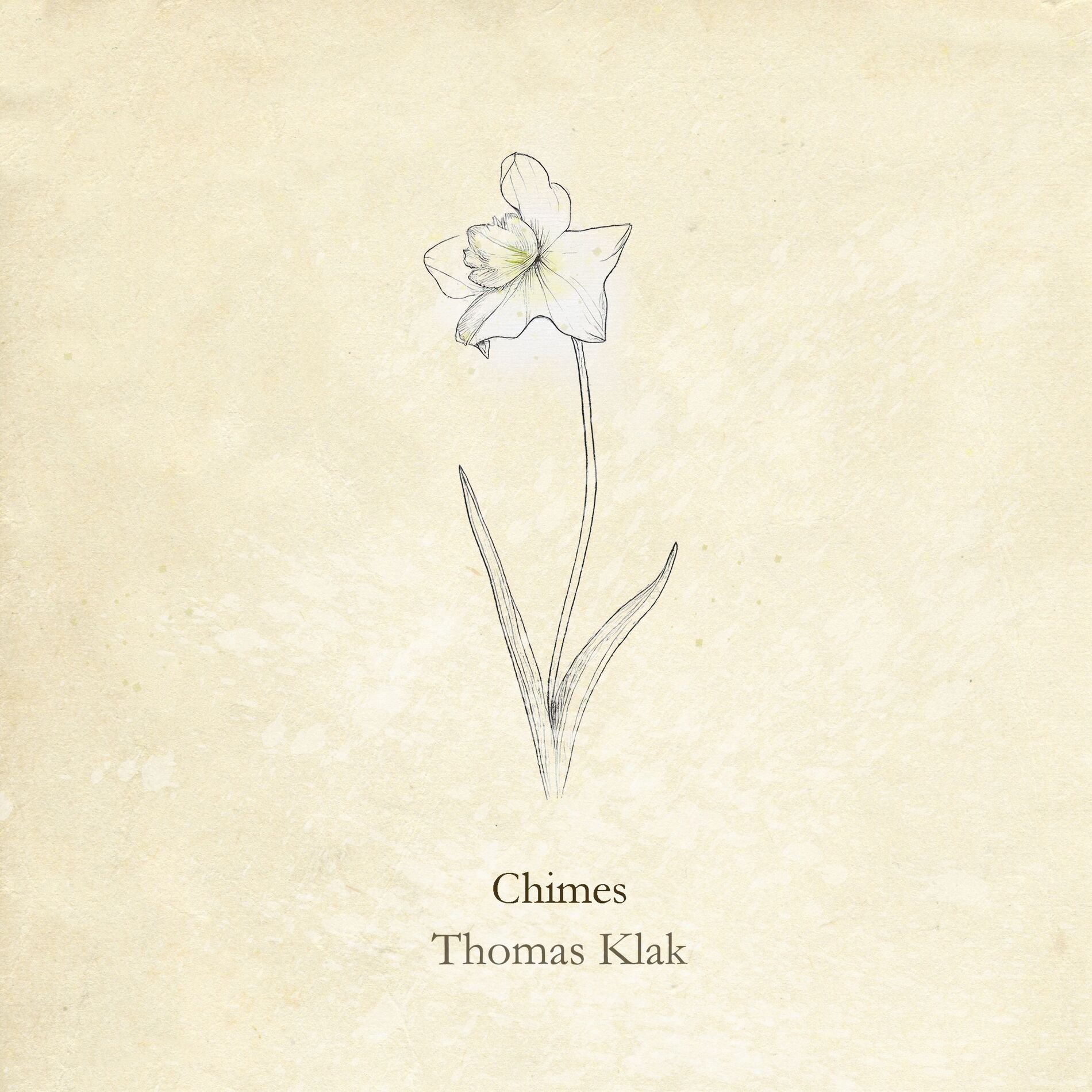 Album cover of Chimes