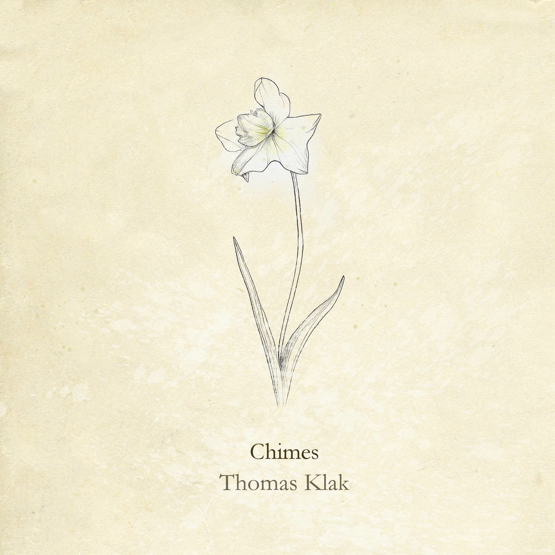 Album cover of Chimes