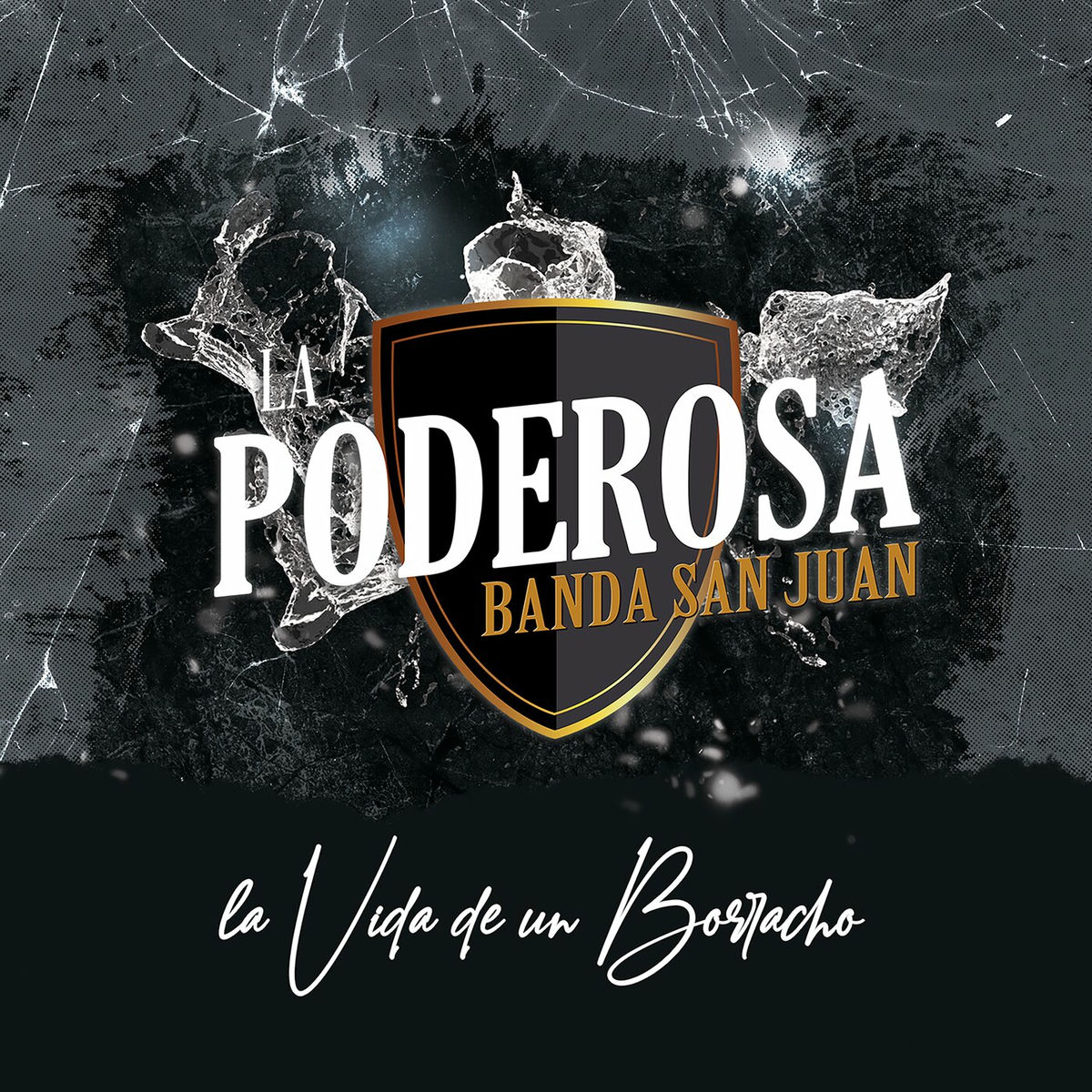 Album cover of La Vida De Un Borracho