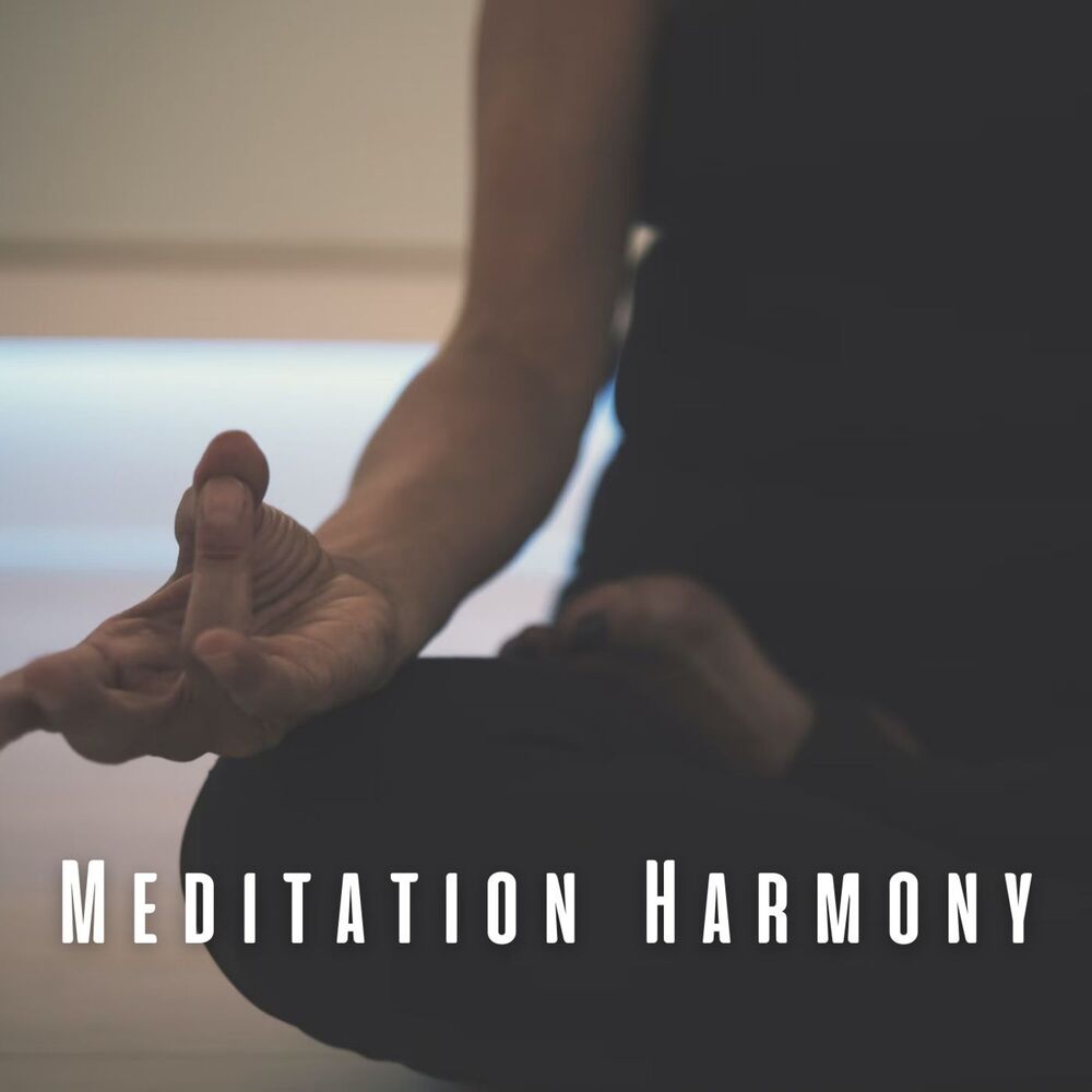 Picture of Meditation Harmony: Chill Music for Contemplation