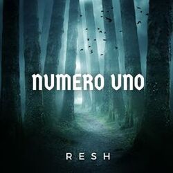 Cover of Numero Uno