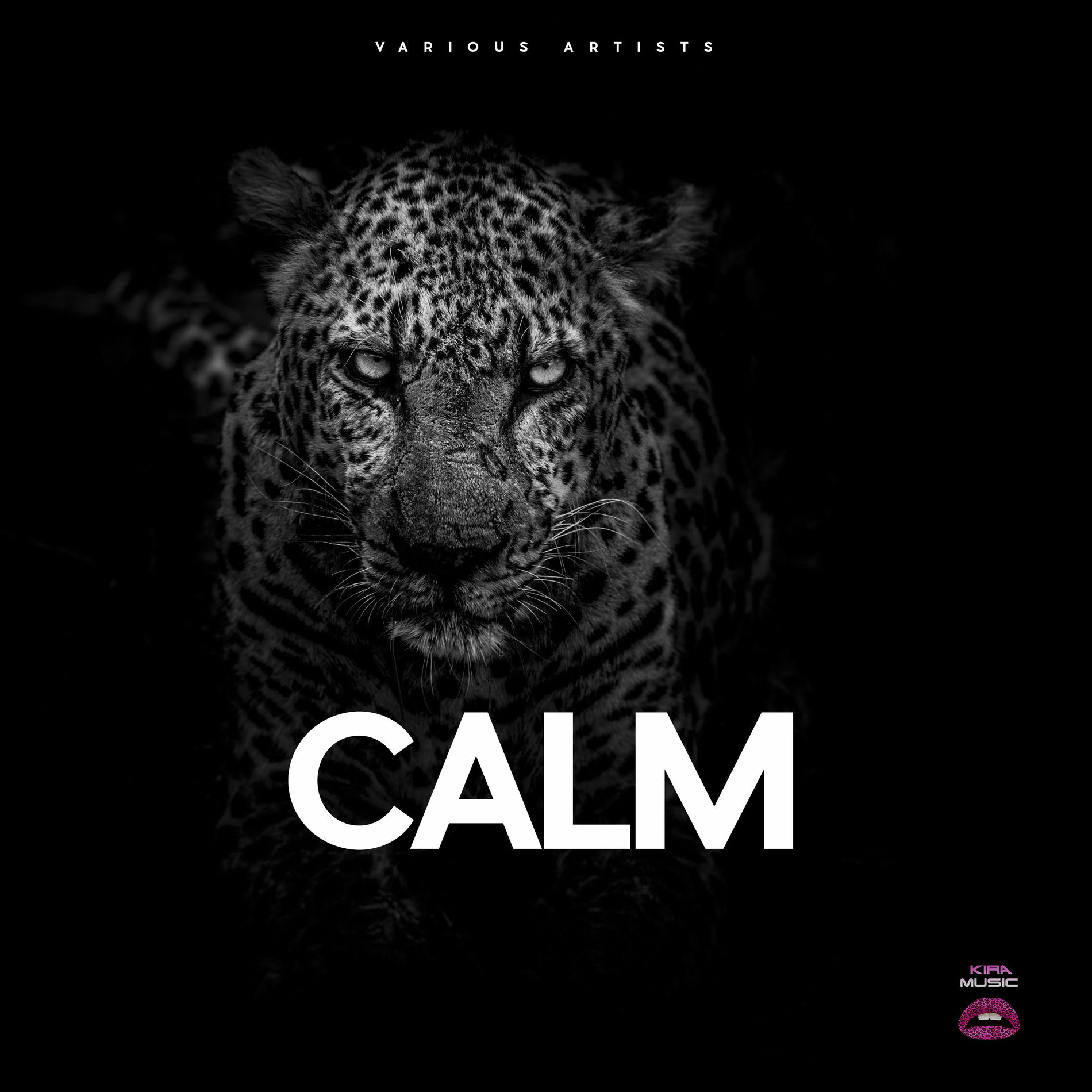 Album cover of Calm