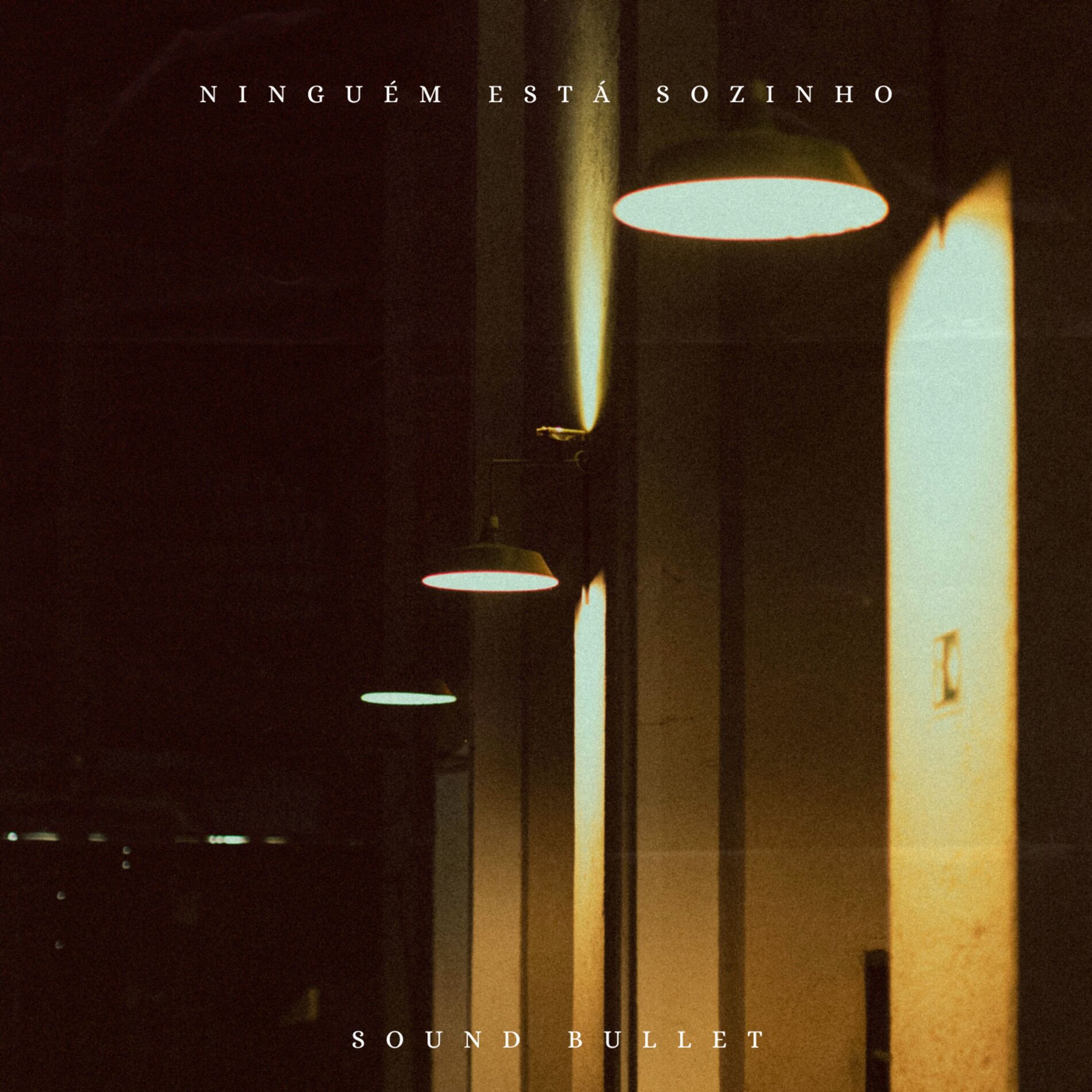 Album cover of Ninguém Está Sozinho