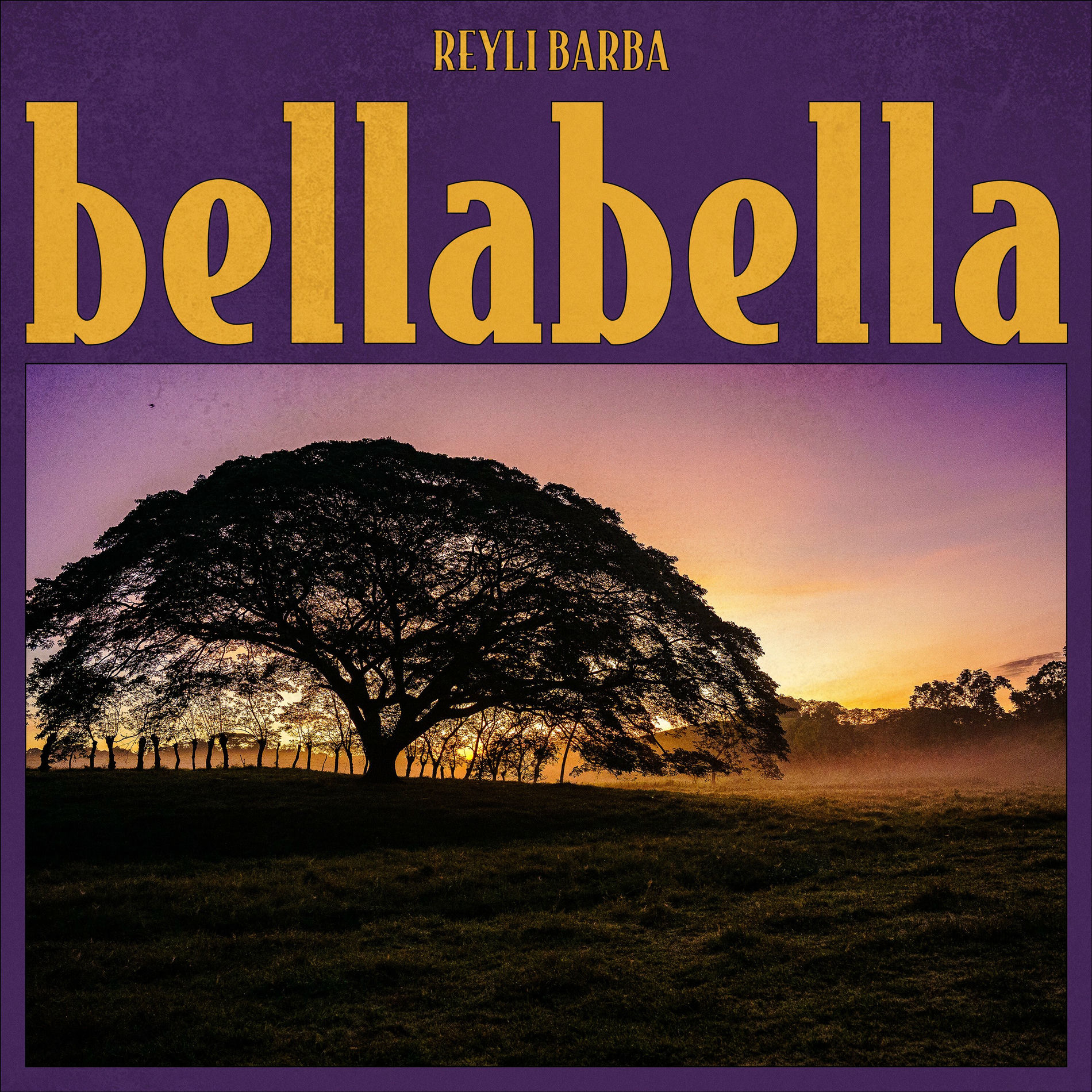 Album cover of bellabella