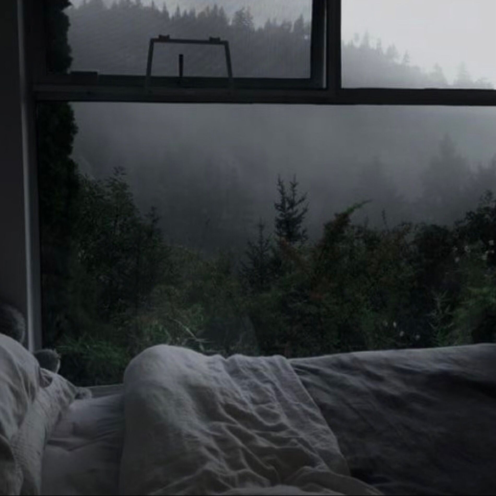 Album cover of ghost in me