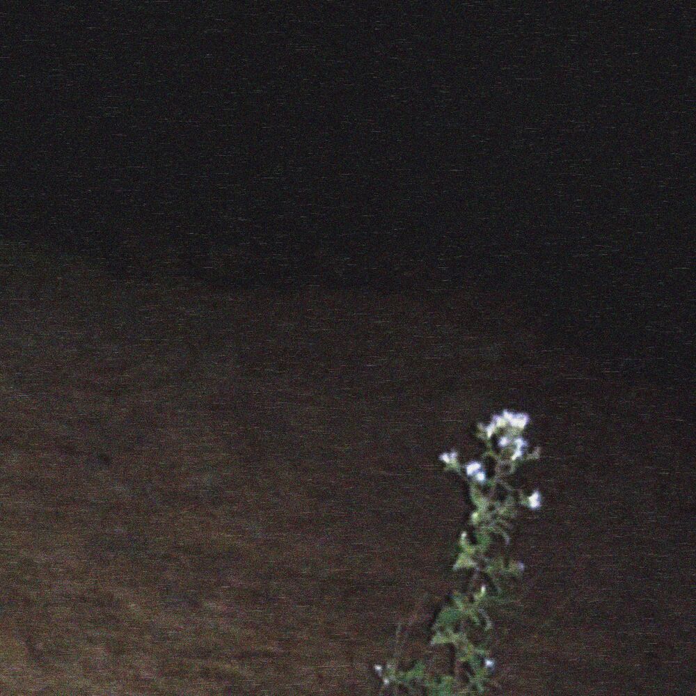 Picture of a noite vai ser longa