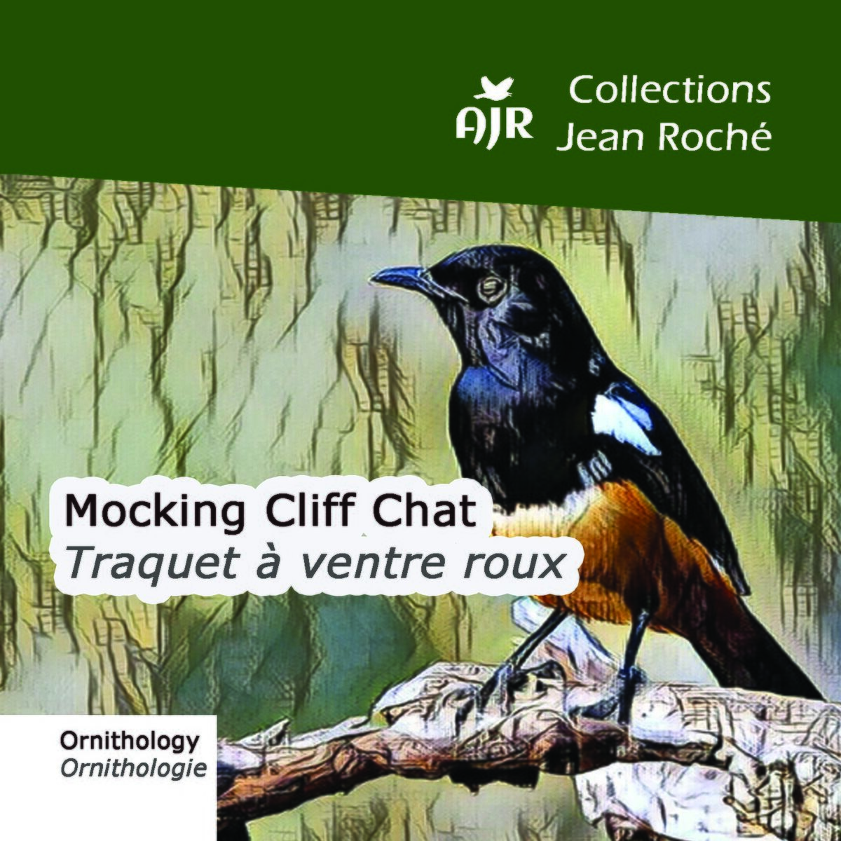 Album cover of Mocking Cliff Chat-Traquet à ventre roux-Thamnolaea cinnamomeiventris (Ornithology-Ornthologie)