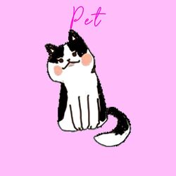 Cover of Pet