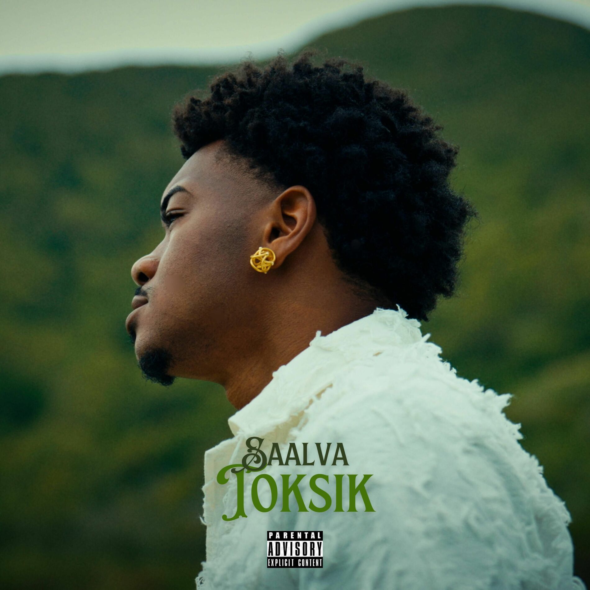 Album cover of Toksik